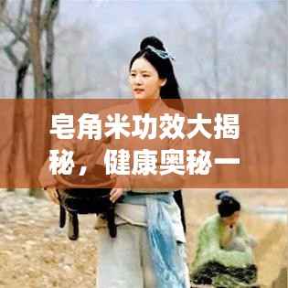 皂角米功效大揭秘，健康奥秘一网打尽，百度权威解读！