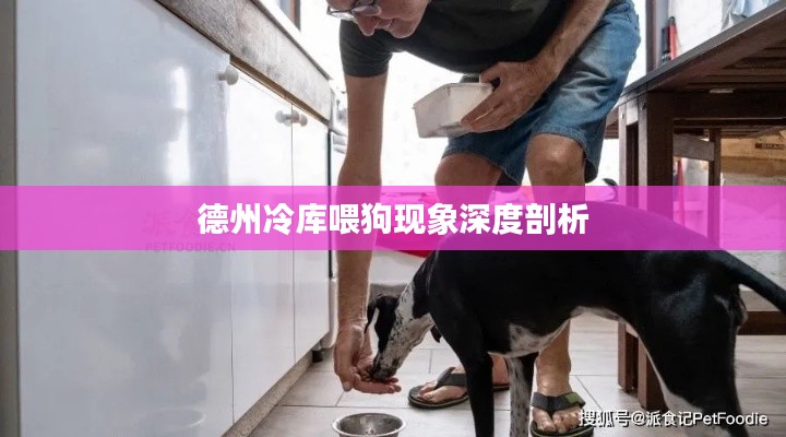 德州冷库喂狗现象深度剖析