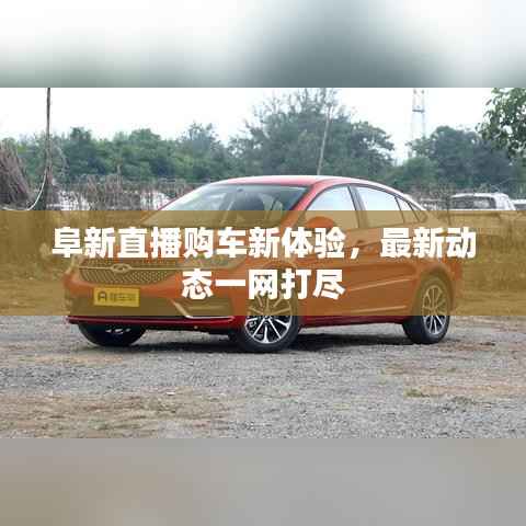阜新直播购车新体验，最新动态一网打尽