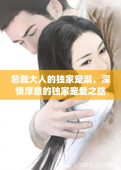 总裁大人的独家宠溺，深情厚意的独家宠爱之旅
