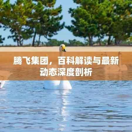 腾飞集团,百科解读与最新动态深度剖析