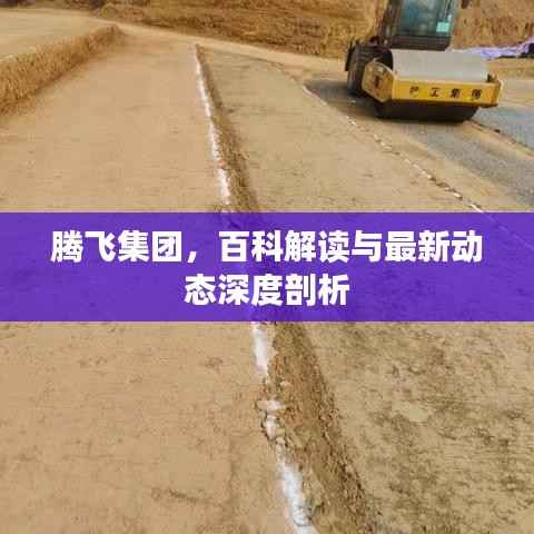 腾飞集团,百科解读与最新动态深度剖析