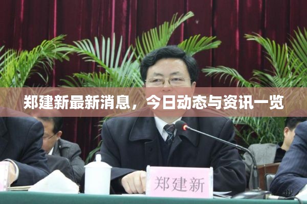 郑建新最新消息,今日动态与资讯一览