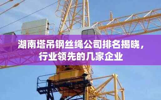 湖南塔吊钢丝绳公司排名揭晓，行业领先的几家企业