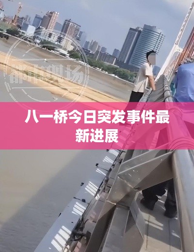 八一桥今日突发事件最新进展