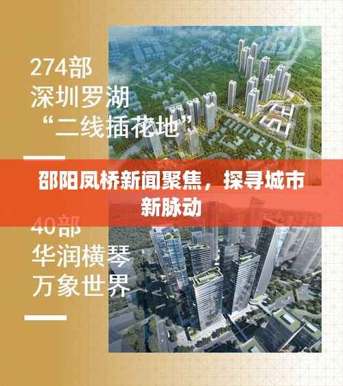 邵阳凤桥新闻聚焦，探寻城市新脉动