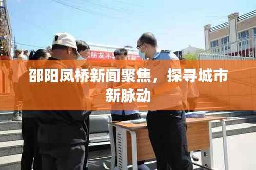 邵阳凤桥新闻聚焦,探寻城市新脉动