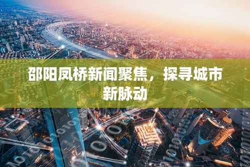 邵阳凤桥新闻聚焦,探寻城市新脉动