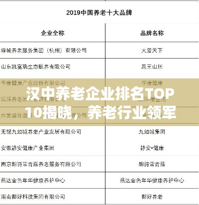 汉中养老企业排名TOP10揭晓,养老行业领军者榜单