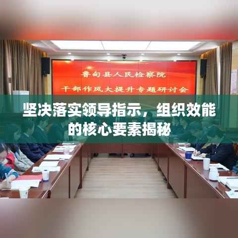 坚决落实领导指示，组织效能的核心要素揭秘