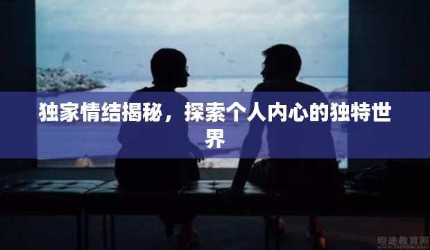 独家情结揭秘，探索个人内心的独特世界