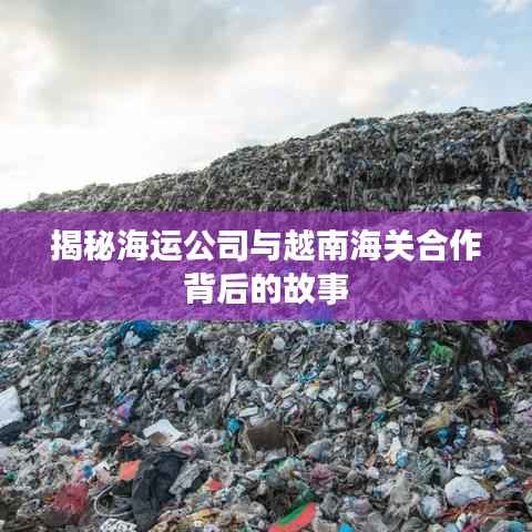 揭秘海运公司与越南海关合作背后的故事