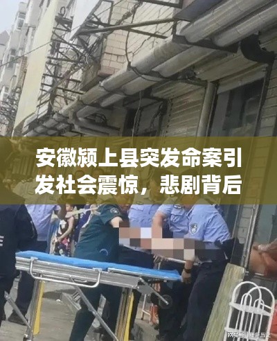 安徽颍上县突发命案引发社会震惊，悲剧背后的深刻反思