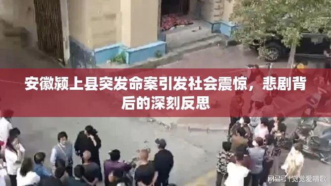 安徽颍上县突发命案引发社会震惊,悲剧背后的深刻反思