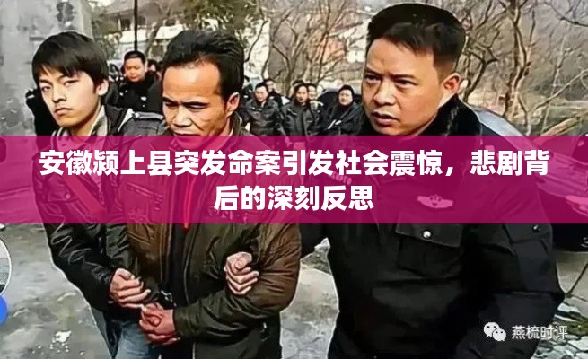 安徽颍上县突发命案引发社会震惊,悲剧背后的深刻反思