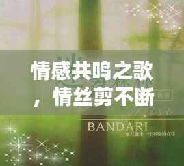 情感共鸣之歌，情丝剪不断，触动心灵深处