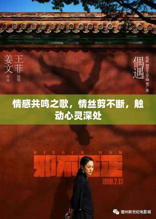情感共鸣之歌,情丝剪不断,触动心灵深处