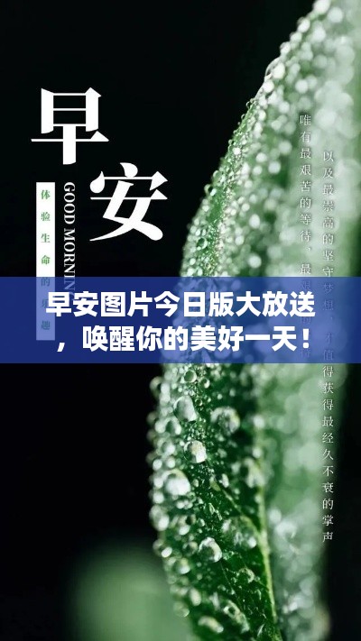 早安图片今日版大放送,唤醒你的美好一天!