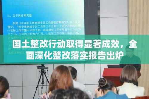 国土整改行动取得显著成效，全面深化整改落实报告出炉
