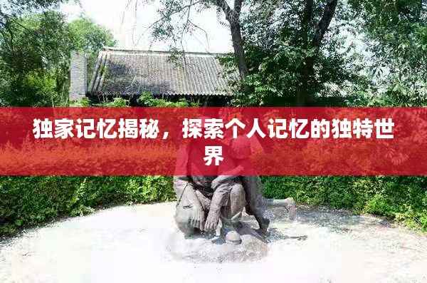 独家记忆揭秘，探索个人记忆的独特世界