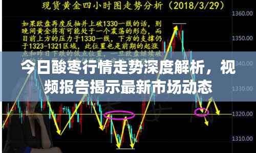 今日酸枣行情走势深度解析，视频报告揭示最新市场动态