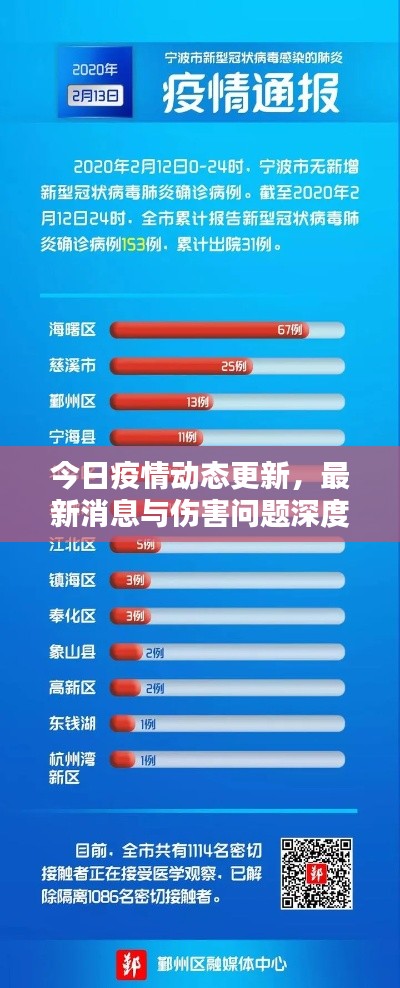 今日疫情动态更新，最新消息与伤害问题深度探讨