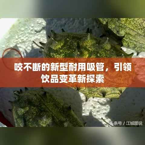 咬不断的新型耐用吸管，引领饮品变革新探索