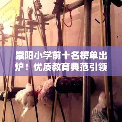 崇阳小学前十名榜单出炉！优质教育典范引领未来教育风向标