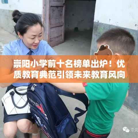 崇阳小学前十名榜单出炉!优质教育典范引领未来教育风向标