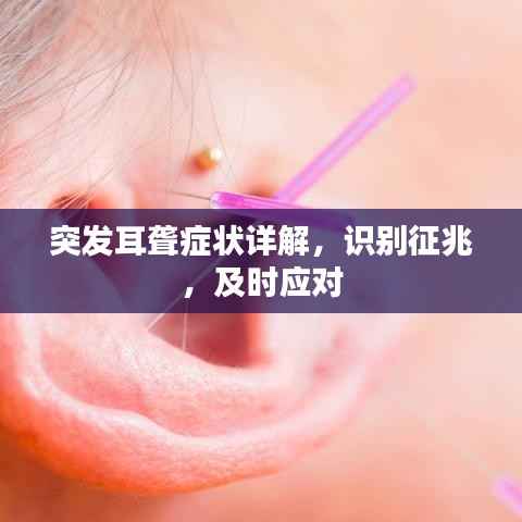 突发耳聋症状详解，识别征兆，及时应对