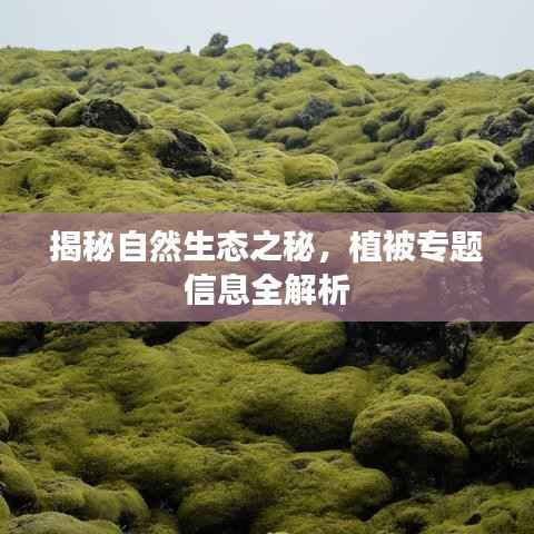 发奋图强 第4页