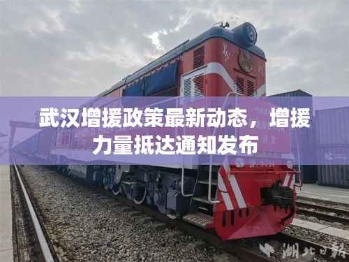 武汉增援政策最新动态，增援力量抵达通知发布