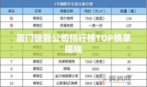 厦门吸管公司排行榜TOP榜单揭晓