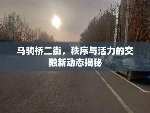 马驹桥二街,秩序与活力的交融新动态揭秘
