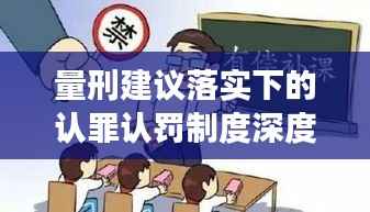 量刑建议落实下的认罪认罚制度深度解读