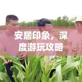 安居印象,深度游玩攻略