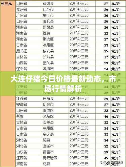 大连仔猪今日价格最新动态，市场行情解析